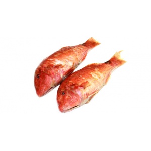 pesce-mediterraneo-triglia-rosse
